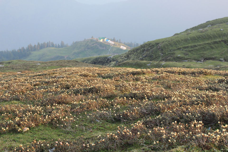 Photo of Chopta, Tungnath Chandrashilla, the Place Where Heidi Lived. by Aman Yadav