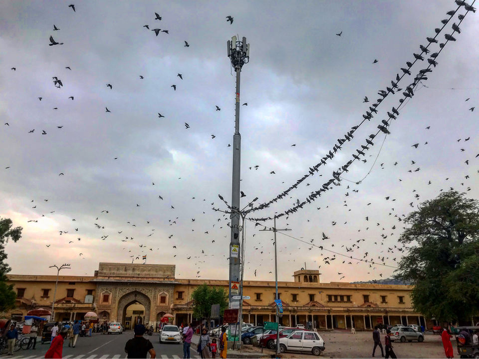 Photo of Solo Trip To The Pink City Of India : Jaipur #unforgettablesolo #indiain5k by Neelam
