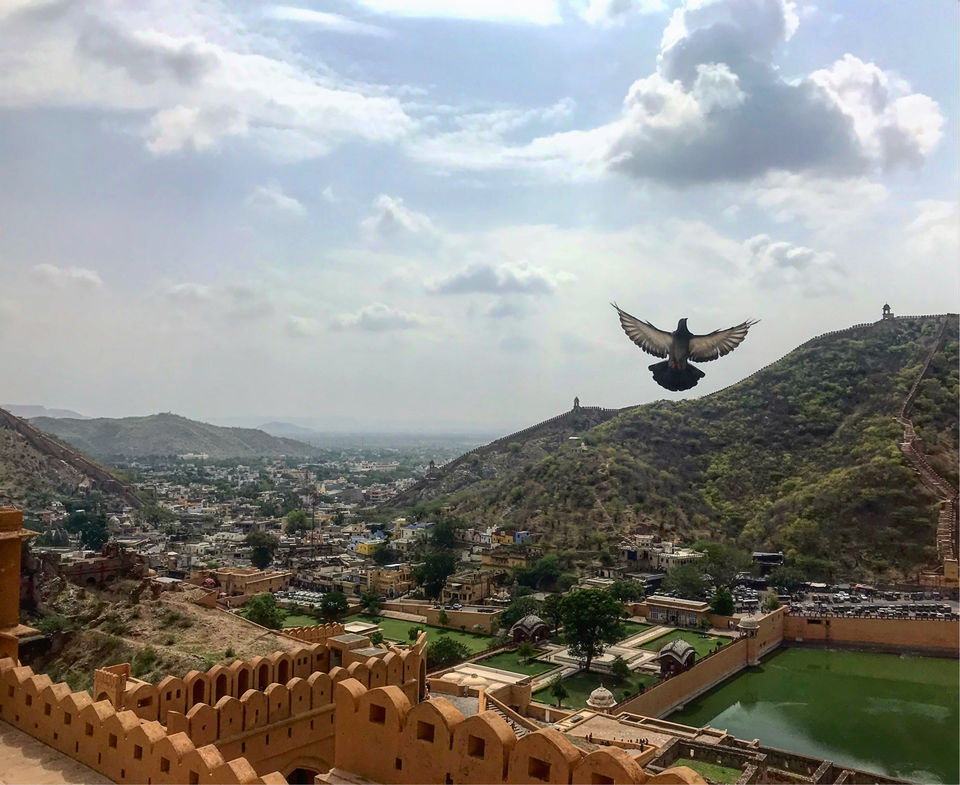 Photo of Solo Trip To The Pink City Of India : Jaipur #unforgettablesolo #indiain5k by Neelam