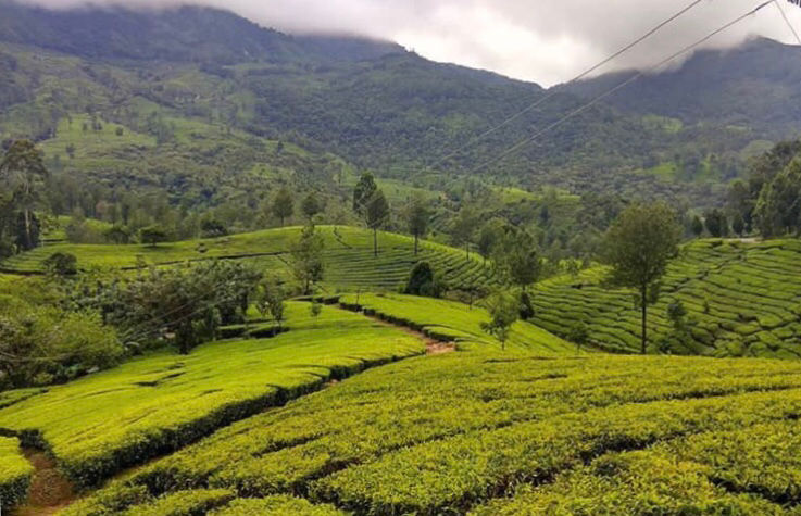 Photo of Trivandrum, Kerala, India by Neelam