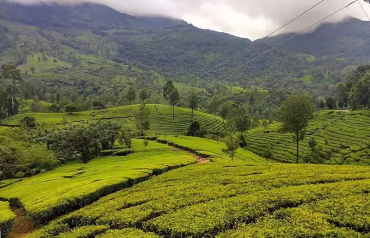 Photo of Trivandrum, Kerala, India by Neelam