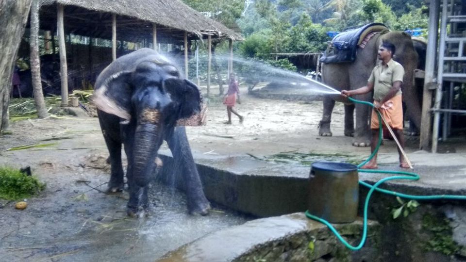Photo of Trivandrum, Kerala, India by Neelam
