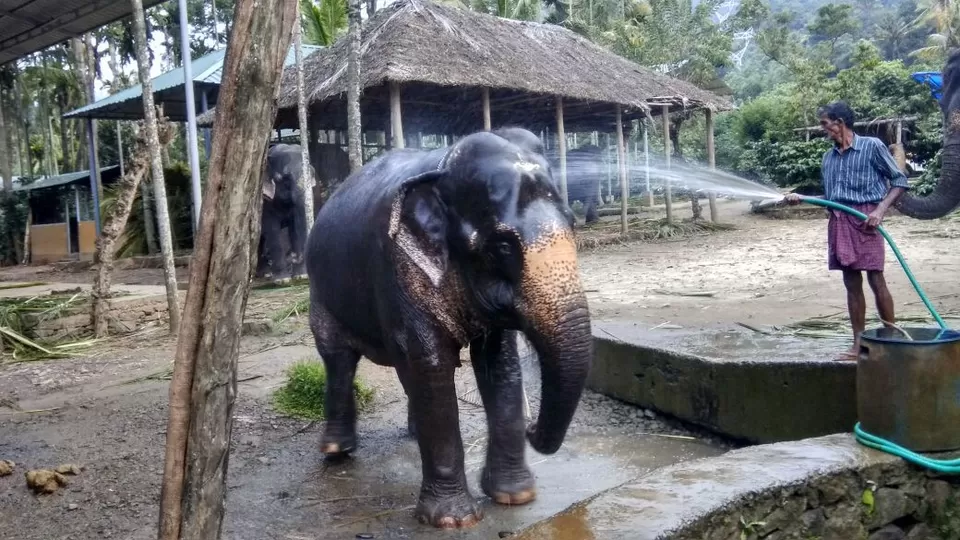 Photo of Trivandrum, Kerala, India by Neelam
