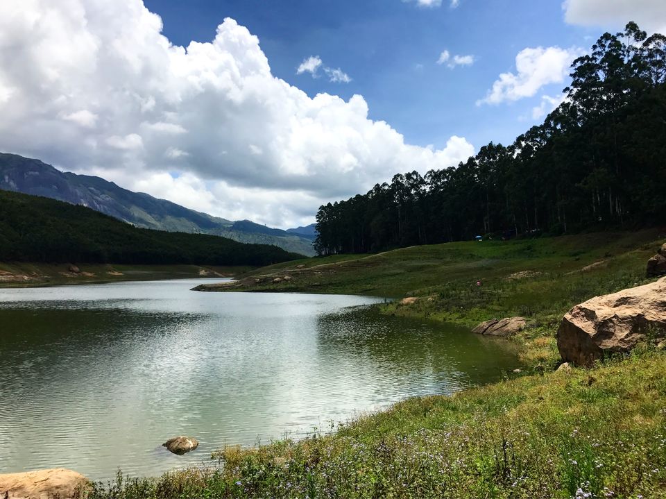 Photo of God's own country,Kerala : Trip to Munnar and Thekkady #southindiaitinerary by Neelam