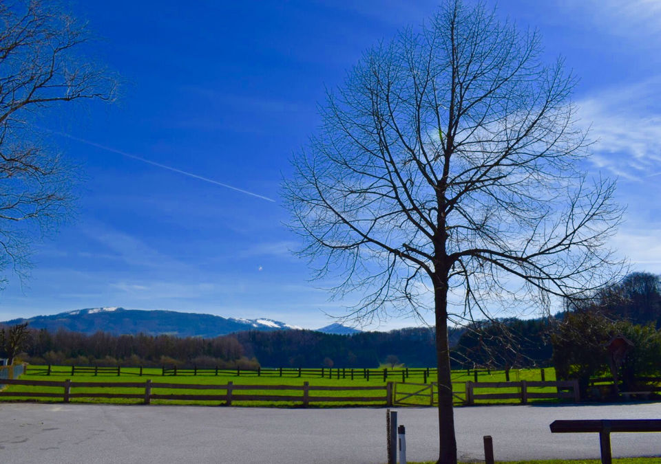 Photo of Europe Trip: Magical Salzburg by Anuradha Adhikari