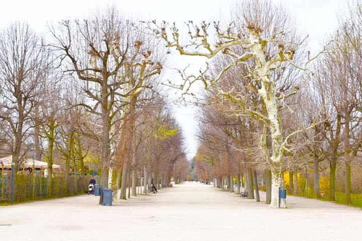 Photo of Vienna, Austria by Anuradha Adhikari