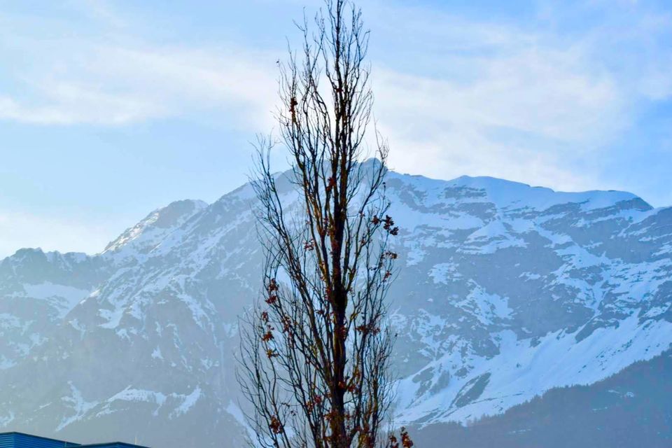 Photo of Innsbruck: Jewel of Alps by Anuradha Adhikari
