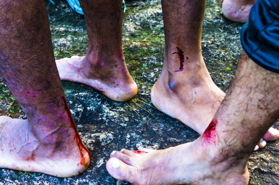 Photo of Trekking at western ghat 2/12 by Shashi Bhushan