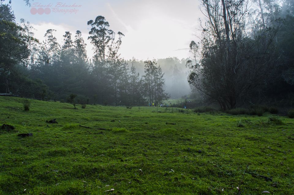 Photo of Trekking at western ghat 3/12 by Shashi Bhushan