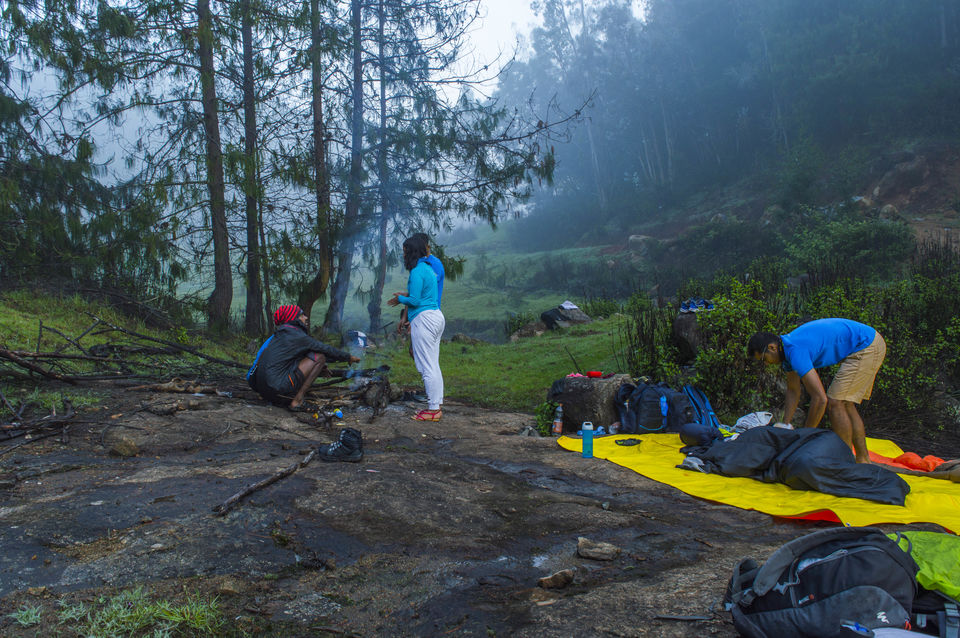 Photo of Trekking at western ghat 7/12 by Shashi Bhushan