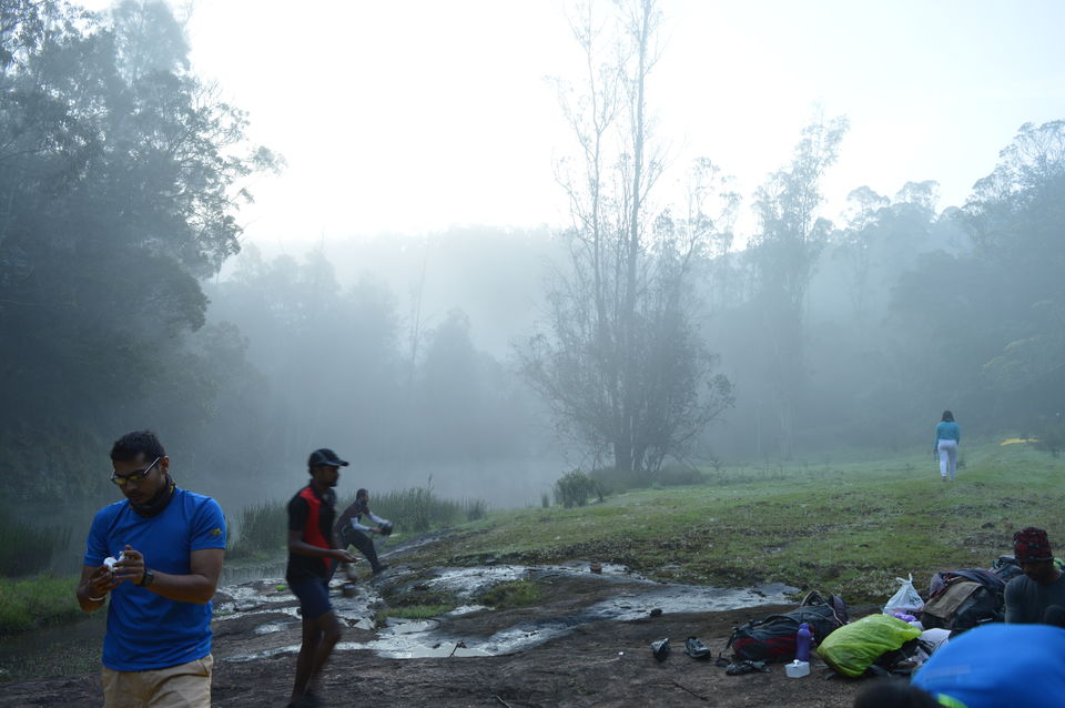Photo of Trekking at western ghat 8/12 by Shashi Bhushan