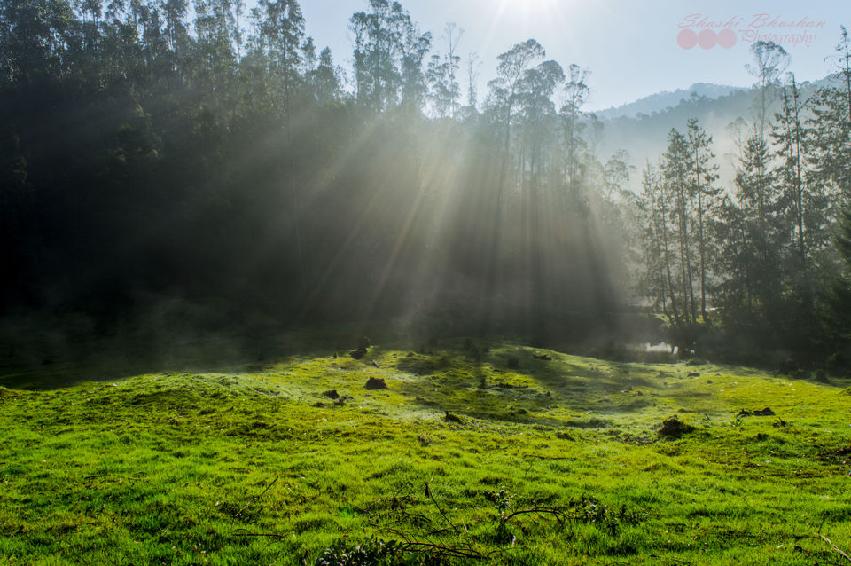 Photo of Trekking at western ghat 12/12 by Shashi Bhushan