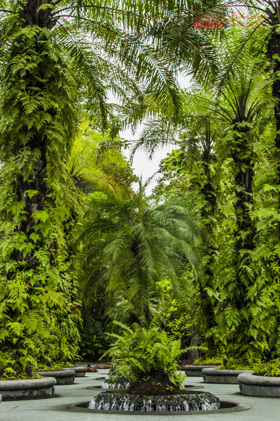 Photo of Singapore trip 4/31 by Shashi Bhushan