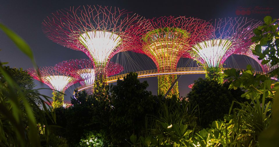Photo of Singapore trip 14/31 by Shashi Bhushan