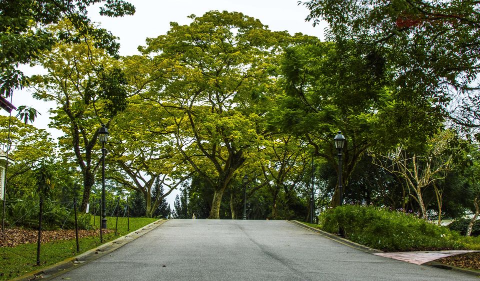 Photo of Singapore trip 8/31 by Shashi Bhushan