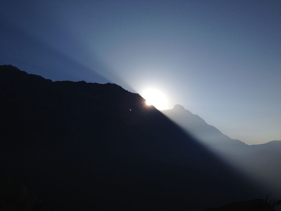 Photo of Triund – Thank god I got lost in the woods!! 4/4 by Mrigank Dubey