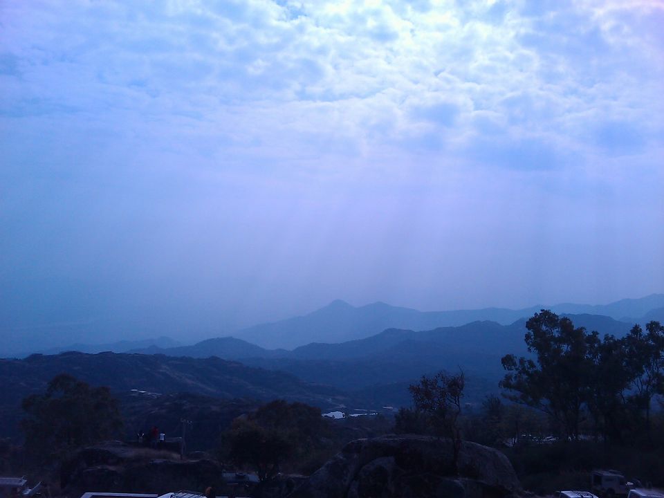 Photo of What are you looking for? 1/1 by Mrigank Dubey