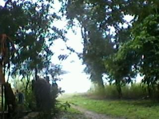Photo of हरिद्वार के द्वार by Masaud Akhtar