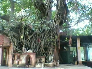 Photo of हरिद्वार के द्वार by Masaud Akhtar