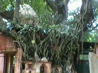 Photo of हरिद्वार के द्वार by Masaud Akhtar
