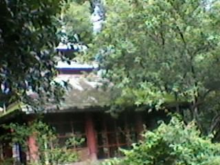 Photo of हरिद्वार के द्वार by Masaud Akhtar
