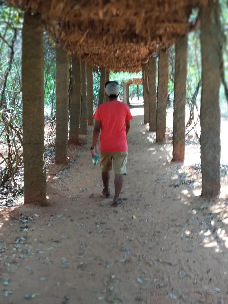 Photo of Auroville, Tamil Nadu, India by omprakash gurung