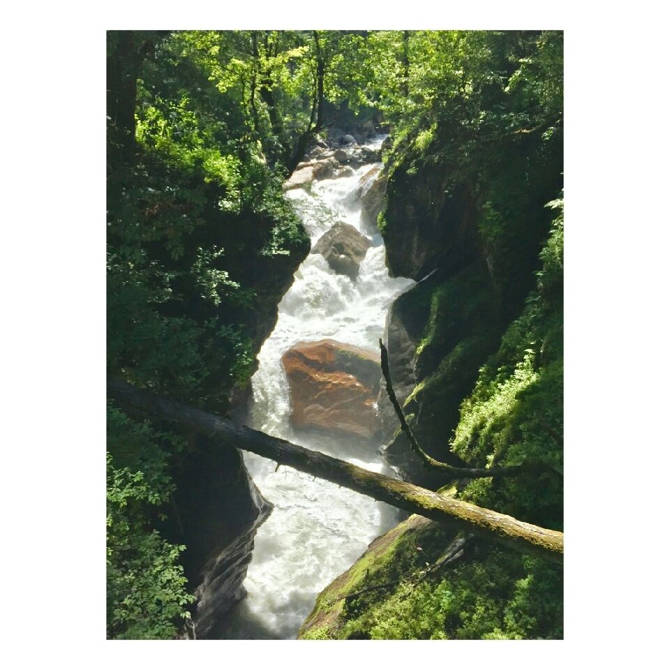 Photo of Detailed Guide for Kasol-Kheerganga Trek by Deepanshu