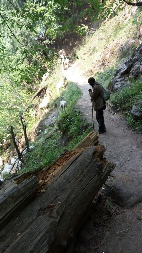Photo of Again in Kasol & kheerganga by Ruth_delhi