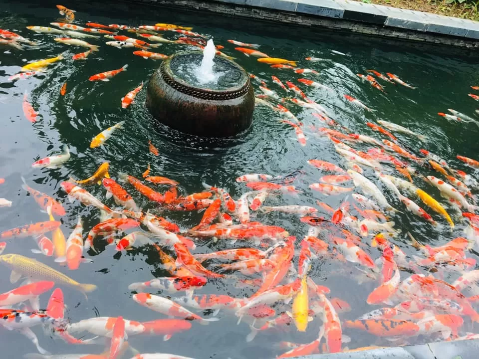 Photo of Golden Bridge, Sun World Bà Nà Hill, Hòa Ninh, Hòa Vang, Da Nang, Vietnam by Ruth_Traveldiaries