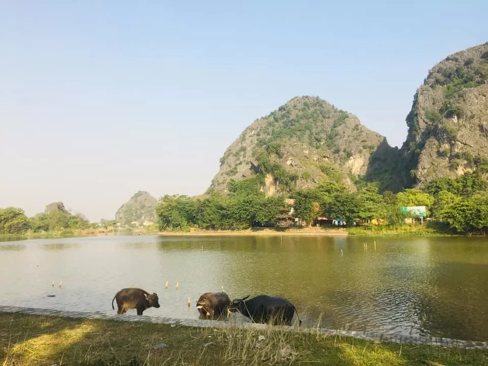 Photo of Hoa Lu Ancient Capital, Trường Yên, Hoa Lư District, Ninh Bình Province, Vietnam by Ruth_Traveldiaries