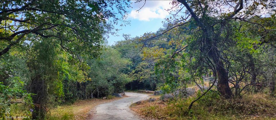 Photo of Trevor's Tank, Mount Abu, Rajasthan, India by Karan Prajapati
