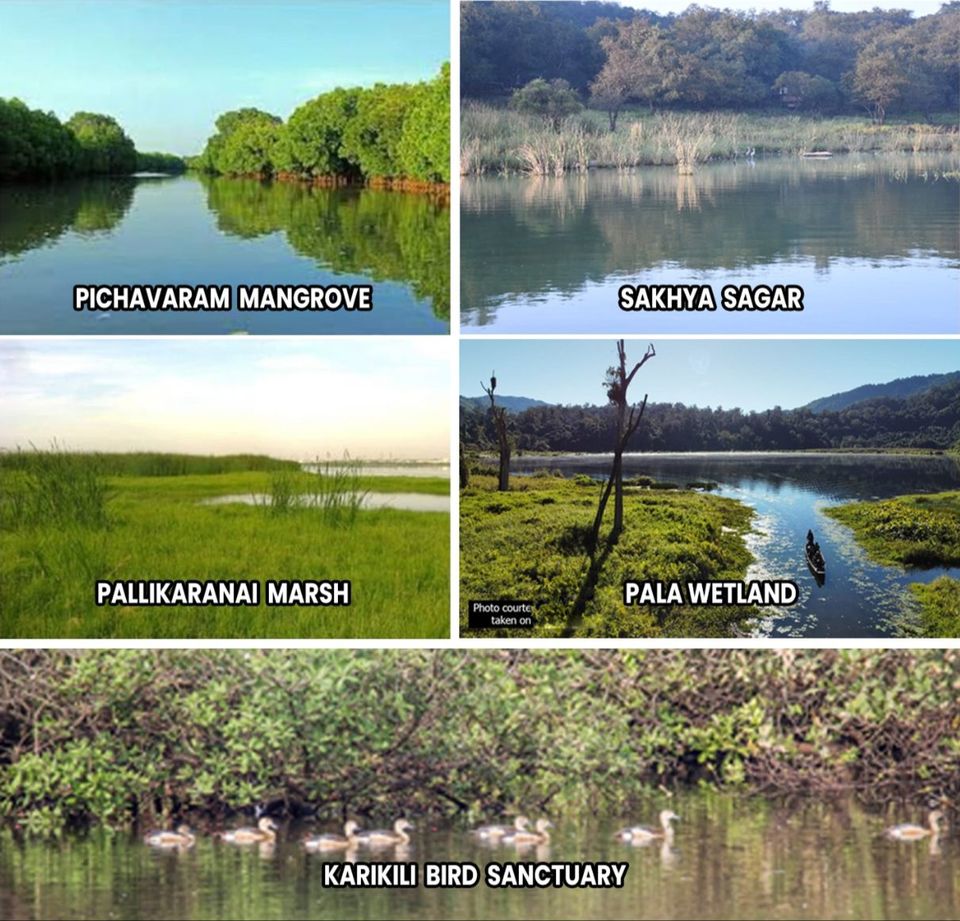 Photo of पांच और वेटलैंड को मिला रामसर स्थलों का अंतर्राष्ट्रीय टैग, संख्या 49 से बढ़कर हुई 54 by Hitendra Gupta
