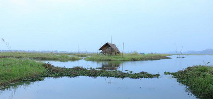 Photo of Loktak Lake, Manipur by Hitendra Gupta