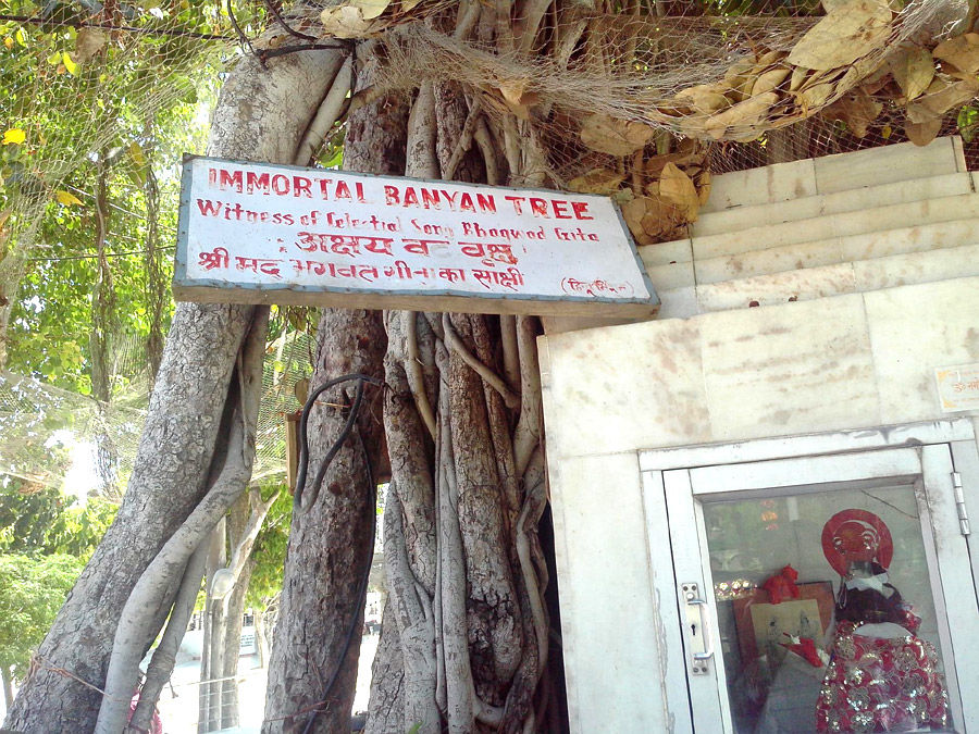 Photo of गया विष्णुपद मंदिर: जानिए इस मंदिर में क्या है खास मान्यता और इसका पितरों से क्या है संबंध by Hitendra Gupta