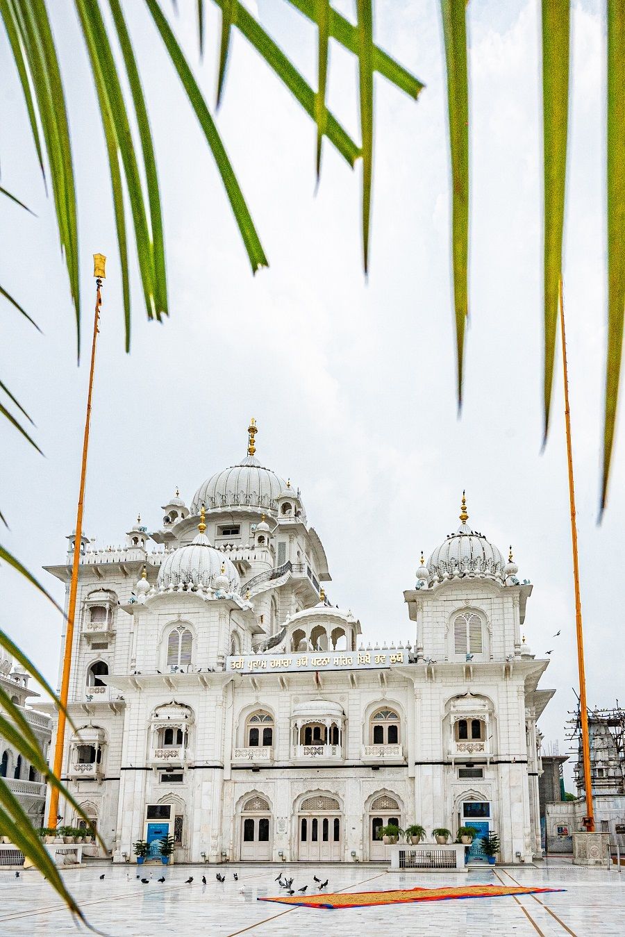 Photo of श्री हरिमंदिर जी साहिब: सिख धर्म का दूसरा प्रमुख तख्त है पटना साहिब by Hitendra Gupta