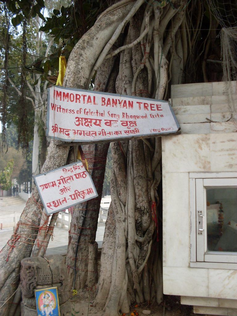 Photo of ज्योतिसर, Jyotisar, Josar, कुरुक्षेत्र, Haryana, India by Hitendra Gupta