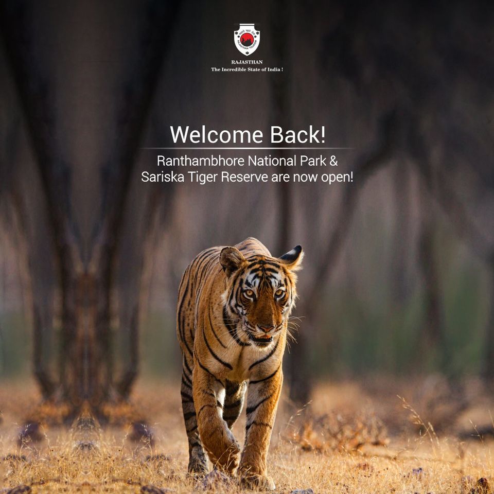 Photo of Ranthambore National Park, Rajasthan, India by Hitendra Gupta
