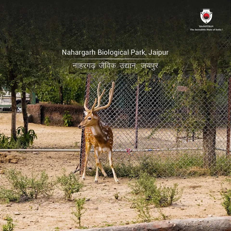 Photo of Nahargarh Biological Park, NH 8, Kukas, Rajasthan, India by Hitendra Gupta