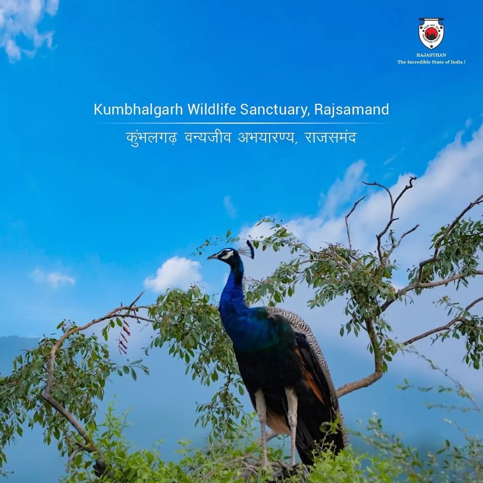 Photo of Forest office wildlife aareth choki, Kumbhalgarh Fort Road, Qila Kumbhalgarh, Rajasthan, India by Hitendra Gupta
