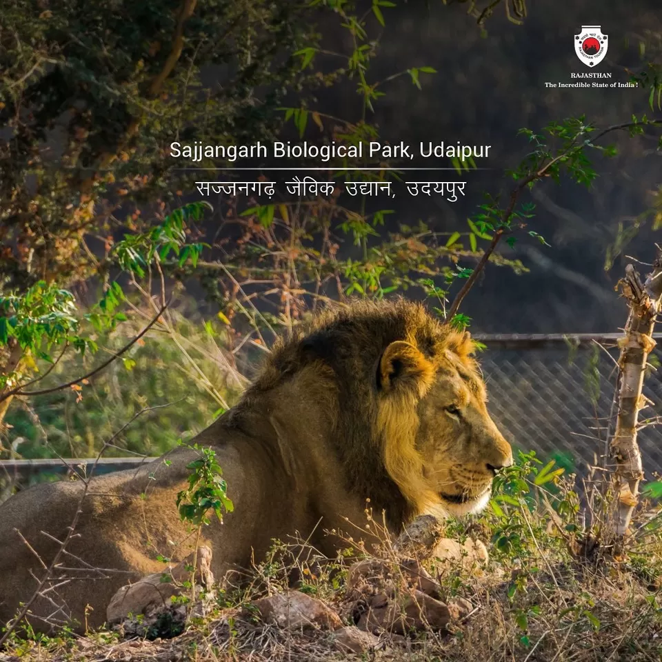 Photo of SajjanGarh Biological Park, Fateh Sagar Road, Main Gate, Malla Talai, Udaipur, Rajasthan, India by Hitendra Gupta