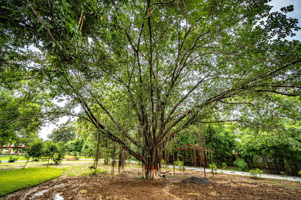 Photo of Rajgir, Bihar, India by Hitendra Gupta