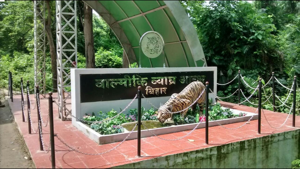 Photo of Valmiki Tiger Reserve, Betiah, Bihar, India by Hitendra Gupta