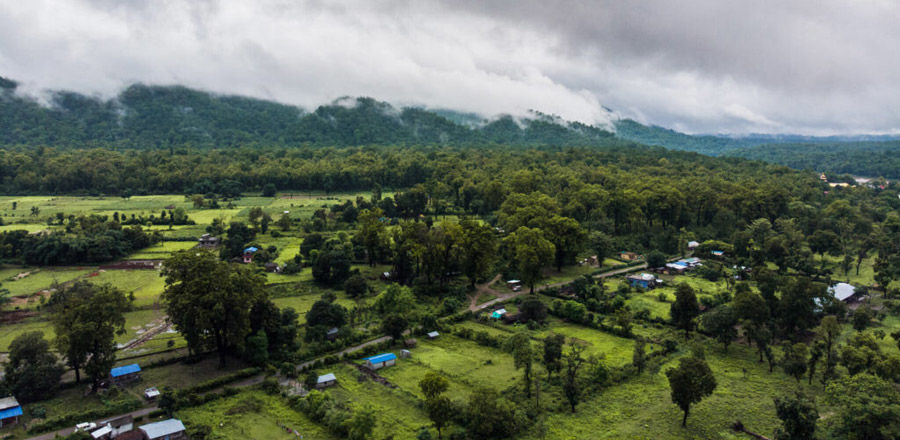 Photo of Valmiki Tiger Reserve, Betiah, Bihar, India by Hitendra Gupta