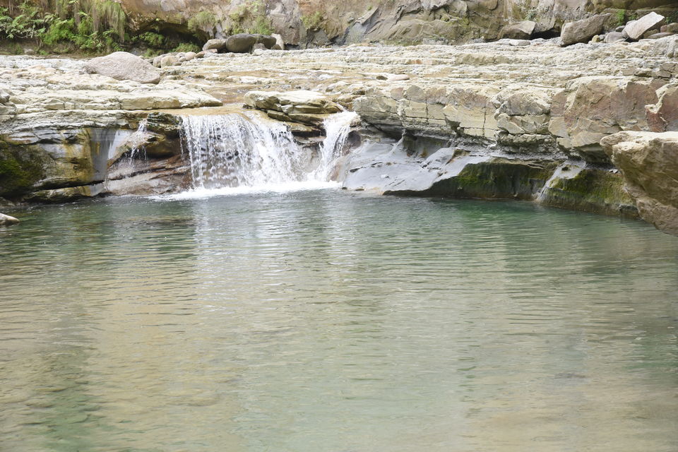 Photo of Valmiki Tiger Reserve, Betiah, Bihar, India by Hitendra Gupta