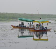 Photo of जिम कार्बेट-राजाजी पार्क को मात देता वाल्मीकि टाइगर रिजर्व, हनीमून के लिए बजट में बेस्ट ऑप्शन by Hitendra Gupta