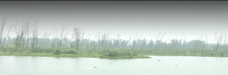 Photo of हरियाणा के सबसे बड़े वेटलैंड भिंडावास को किया जाएगा पर्यटक स्थल के रूप में विकसित by Hitendra Gupta