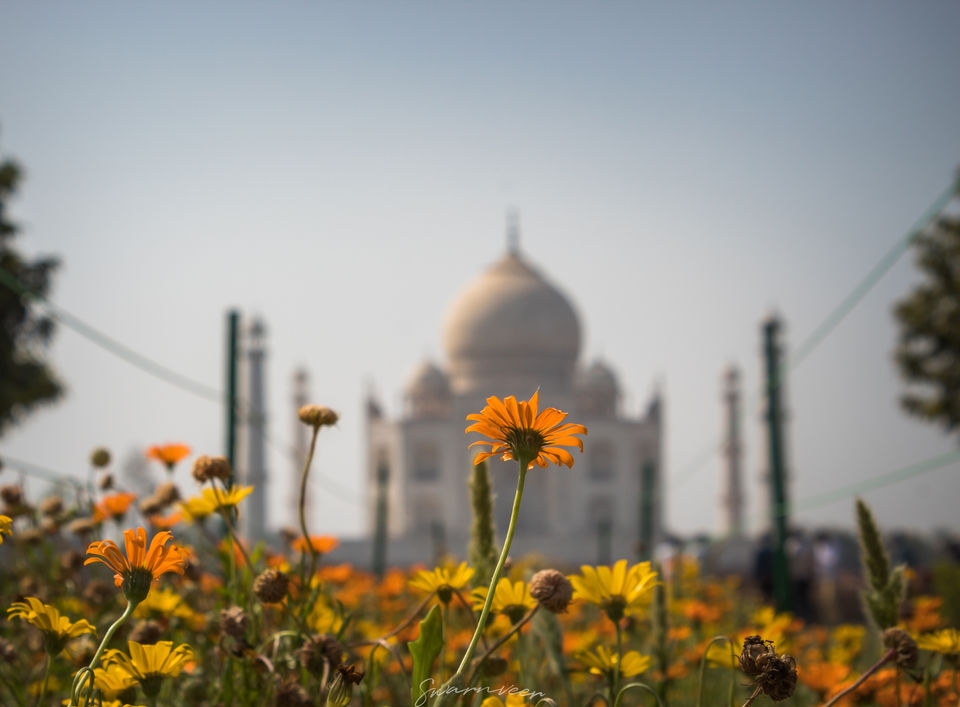 Photo of Wah Taj ! 2/5 by Swarnveer