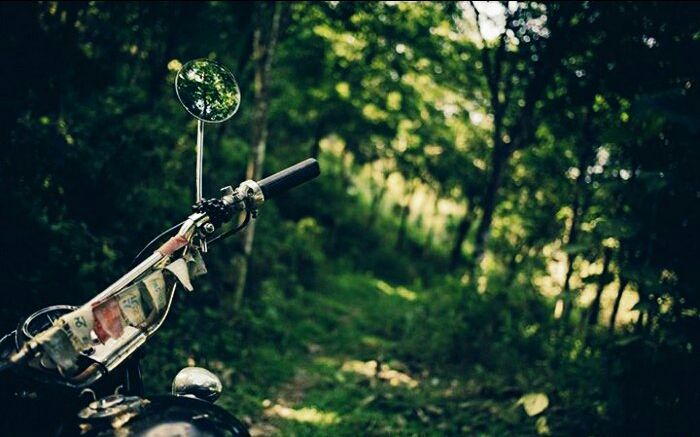 Photo of Coorg, Karnataka, India by shivuduuuu☮☮