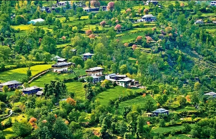 Photo of Shimla, Himachal Pradesh, India by shivuduuuu☮☮