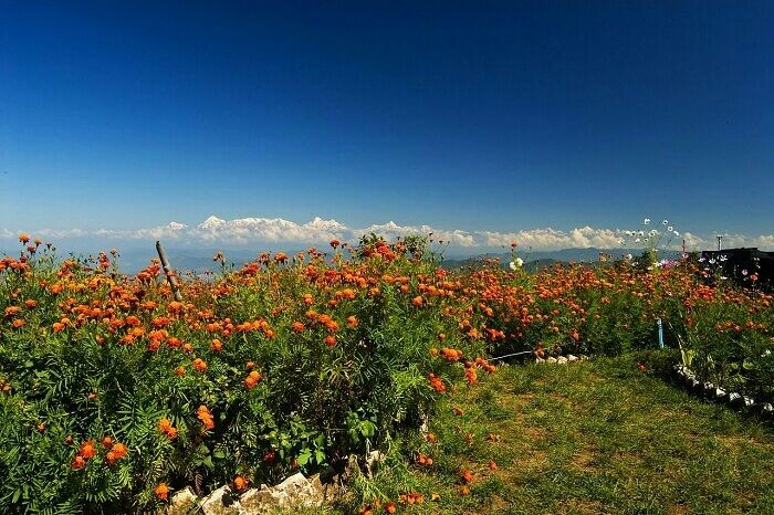 Photo of Prashar Lake - Sunshine Himalayan Camp, Mandi, Himachal Pradesh, India by shivuduuuu☮☮